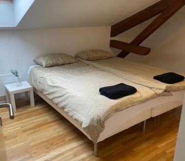 Grunerlokka Appartement | Private Rom for two in Oslo City center-Main Street-Walking distance