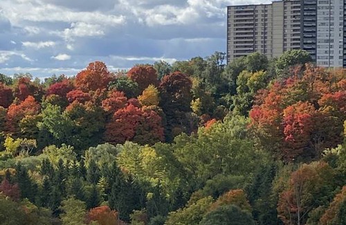 Flemingdon Park Station Balnéaire | Chambre privée ∙ 1 personne