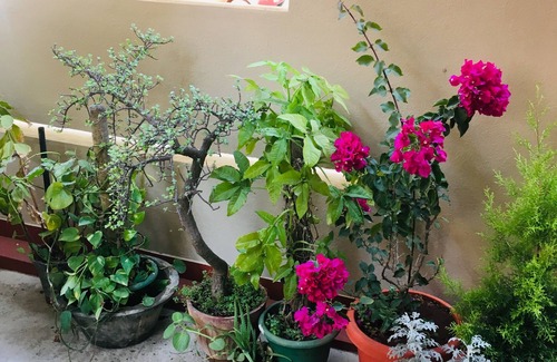 Bengaluru Maison | Chambre privée dans un bungalow