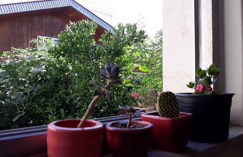 Rasht Station Balnéaire | Chambre privée ∙ 1 personne