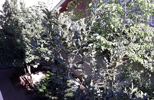 Rasht Station Balnéaire | Chambre privée ∙ 1 personne