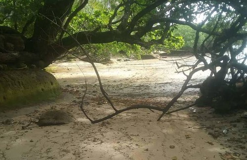 Nasinu Station Balnéaire | Chambre privée ∙ 2 personnes