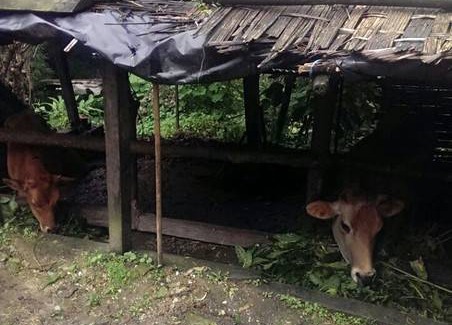 Pelling Station Balnéaire | Chambre privée ∙ 2 personnes