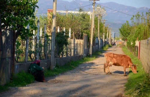 Shkoder Station Balnéaire | Chambre privée ∙ 3 personnes