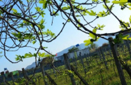 Shkoder Station Balnéaire | Chambre privée ∙ 3 personnes