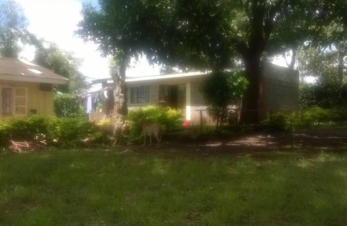 Samburu District Station Balnéaire | Chambre privée ∙ 1 personne