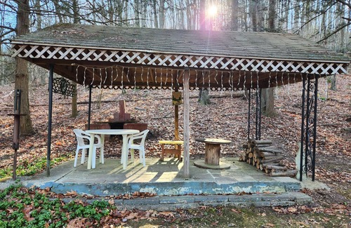 Brockton Cabine | Private rustic cabin in New Ringgold