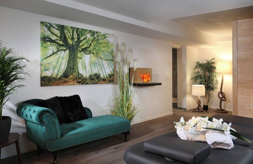 Hoengg Appartement | Private Spa LUX with Whirlpool and Sauna in Zurich