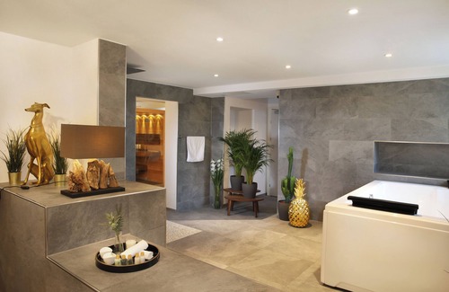 Hoengg Appartement | Private Spa LUX with Whirlpool and Sauna in Zurich