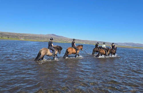 Sveitarfelagid Olfus Appartement | Private stable apartment at Cora's Icelandic horse farm in South Iceland