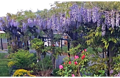 North Cowichan Appartement | Private suite located on the garden side of our home