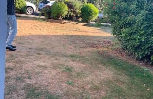 Surrey Newton Appartement | Private suite, separate entrance, central location