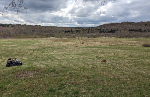 Osceola Location De VR | Private tent camping along the Salmon River on 165-acre Farm!