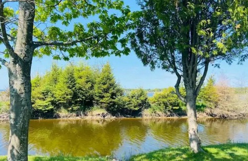 Stokes Bay Location De VR | Private Tent/RV Site Near the Bay #31