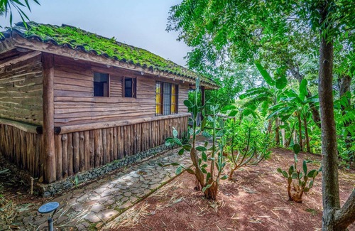Canafistula Hôtel | Private Triple Bungalow with Nature View