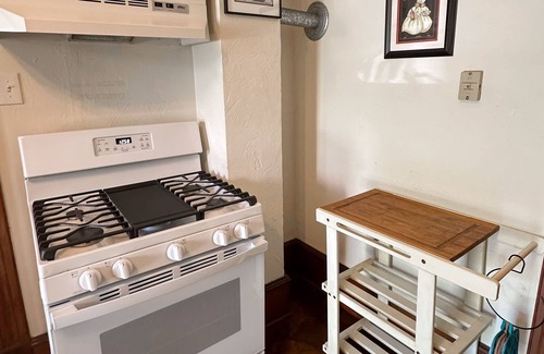 Duckpond Appartement | Private UF Stadium Parking! Historic DWTN Duckpond