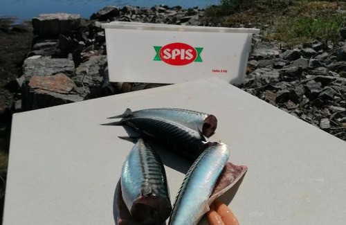Averoy Municipality Autre | Pro Fish camping og båtleie