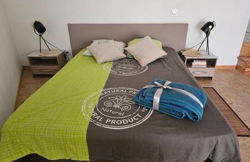 Albi Appartement | Proche passerelle et cathédrale