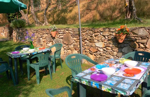 Calci Maison | PROMOTION Typical Tuscan dwelling, house with garden among olive trees