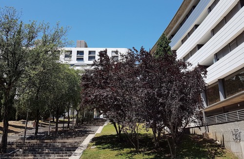 La Vall d'Hebron Appartement | Propriété avec parking, wifi, métro & à 8 min du centre-ville en métro.