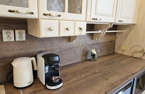 Hradec Kralove Appartement | Prostorný apartmán v centru - Wi-Fi, Netflix