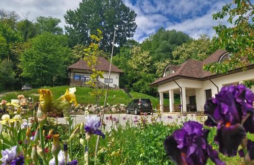 Suceava Hôtel | Provence Suceava