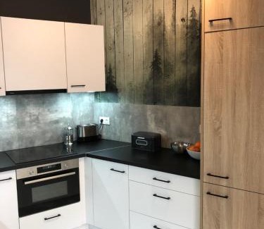 Swieradow-Zdroj Appartement | Przy Zajęczniku