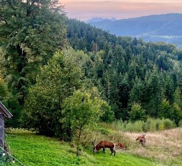 gmina Kamienica Maison | Przysiółek Flądrówka - Dom na odludziu z widokiem na Gorce i Tatry