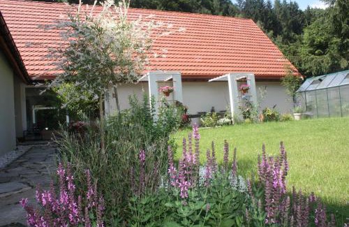 Ladek-Zdroj Appartement | Przystanek Dzika Dolina