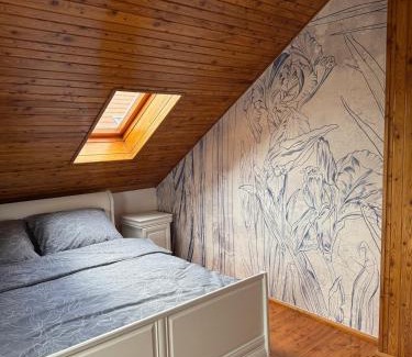 Zabkowice Slaskie Appartement | Przystanek Okrężna
