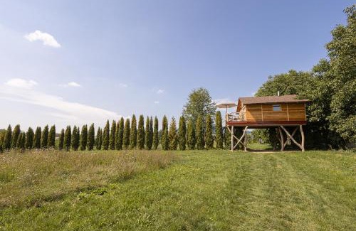 Ustek Maison | Ptačí domek