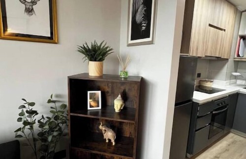Pucon Appartement | Pucón Dpto Comodo y Excelente Ubicación