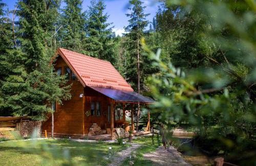 Belis Maison | Pura Vida Forest Home