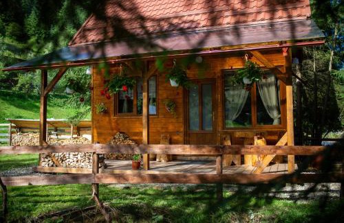Belis Maison | Pura Vida Forest Home