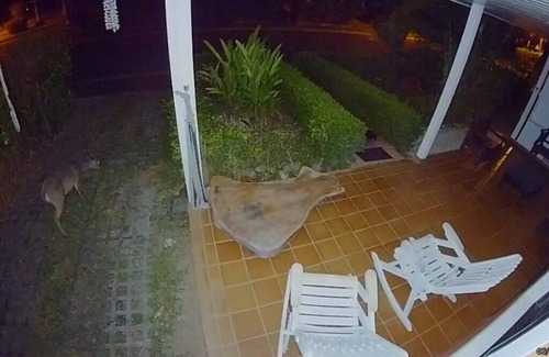 Tambor Villa | Pura Vida Villa! Beachfront Golf Club, 24/7 sec