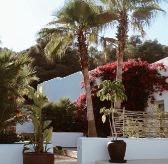 Ibiza Island Hôtel | Pure House Ibiza
