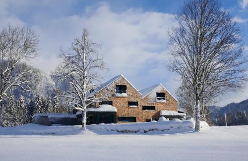 Erpfendorf Appartement | pure mountain BASE