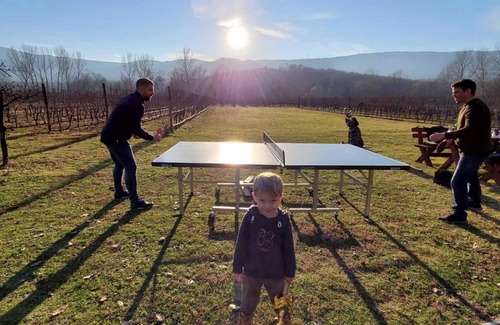 Pricelje Location De VR | Purple Eye Estate - Camp & Winery (Jokaš)