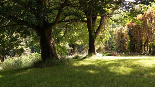 Katikati Maison | Purple Hen Country Lodge