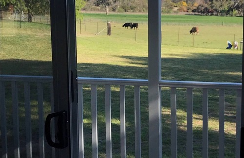 Saumarez Ponds Cabine | New Purpose Built Farm Stay Cottage