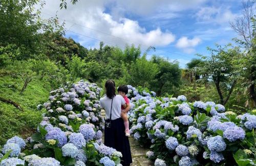 Jinfeng Maison | Qingshan Homestay