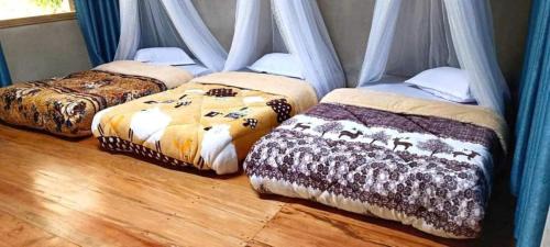 A Luoi Appartement | Quốc Cảnh Homestay