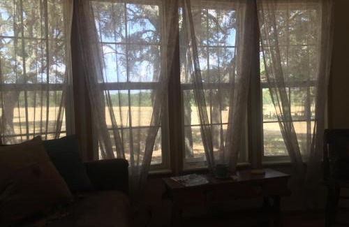 Johnson City Maison | Quaint Cabin in the Woods