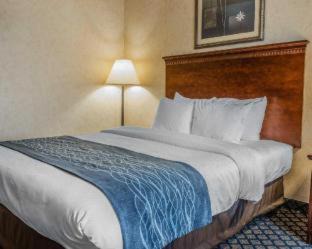 Coldwater Hôtel | Quality Inn & Suites Coldwater near I-69