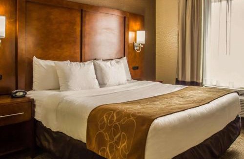 Industry Hôtel | Quality Suites NYC Gateway