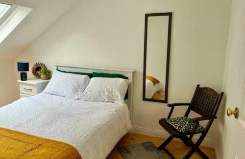 Cork City Centre Hôtel | Quayside 2BD Above Live Music Venue & Bar