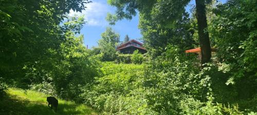 Lasinja Maison | Queen bee's nest