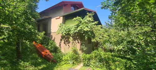 Lasinja Maison | Queen bee's nest
