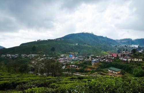 Nuwara Eliya Maison | Queens Gregory - Nuwara Eliya