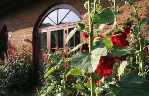 Stulow Maison | Quellenhof Comfortable holiday residence